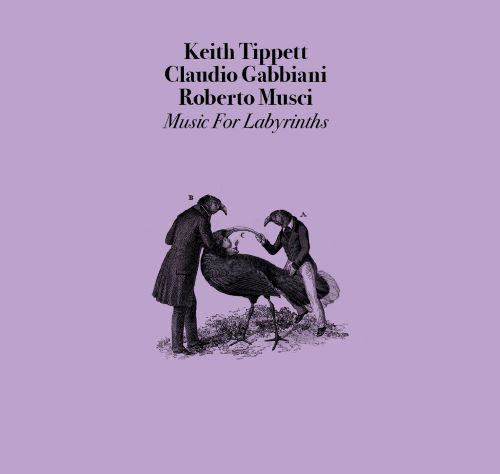 TIPPETT KEITH/CLAUDIO GABBANI/ROBERTO MUSCI - Music for labyrinths
